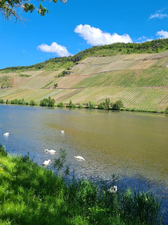 Ferienhaus Birute Verbandsgemeinde Verbandsgemeinde Bernkastel-Kues Buitenkant foto